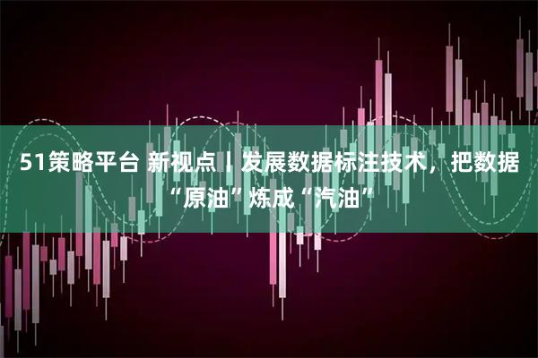 51策略平台 新视点丨发展数据标注技术，把数据“原油”炼成“汽油”