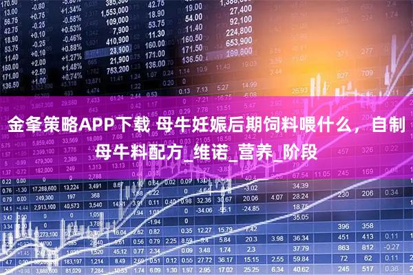 金夆策略APP下载 母牛妊娠后期饲料喂什么，自制母牛料配方_维诺_营养_阶段